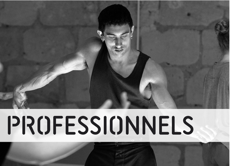 professionnels