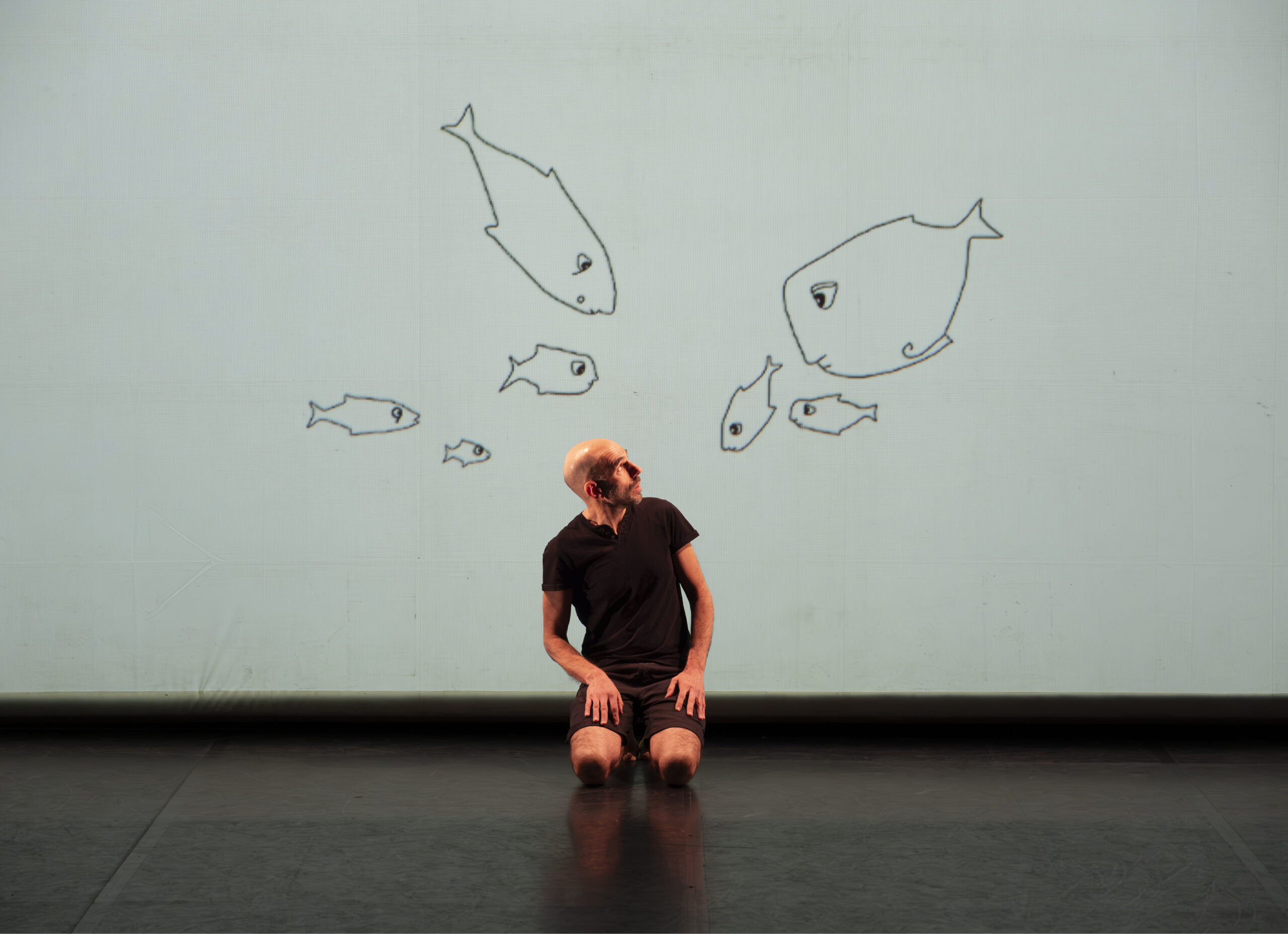 vignettes-poisson3